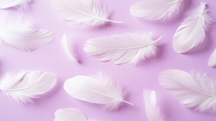 Obraz premium White feathers on a pastel purple background. Concept of lightness, softness and purity.
