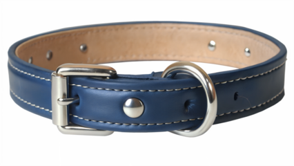 leather dog collar on transparent or white background, pet collar, front view