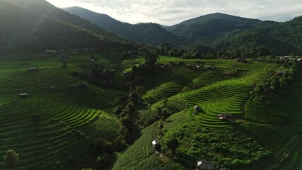 Drone shot of Thailand rice terrace