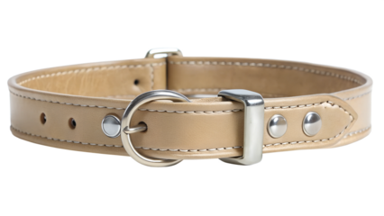 leather dog collar on transparent or white background, pet collar, front view