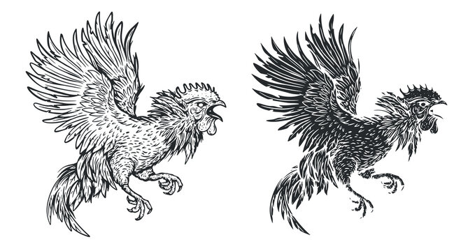 Angry fighting rooster in hand drawn sketch style. Monochrome silhouette bird for tattoo, print, branding. Vector illustration.