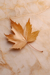 Single dried maple leaf on beige marble background with copy space. Fall's final touch in minimalism.