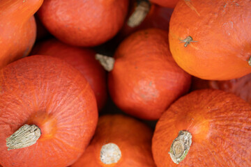 Close up wide orange pumpkins at the farmer's market. Sunny autumn.