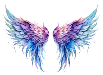 Obraz premium PNG Wings fairy art white background.