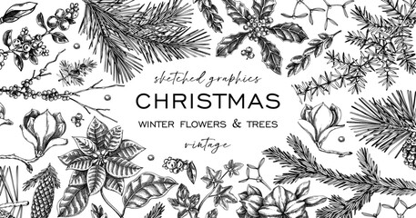 Merry Christmas background. Winter botany frame design. Conifer trees, winter flowers, evergreen plants sketches. Hand-drawn vector illustration. NOT AI generated
