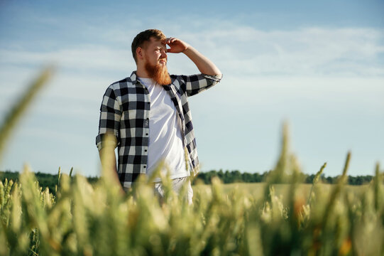 Looking far away. Man in white shirt is on the agricultural field