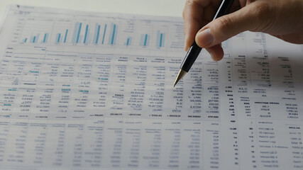 Person Analyzing Financial Spreadsheets with Pen in Hand