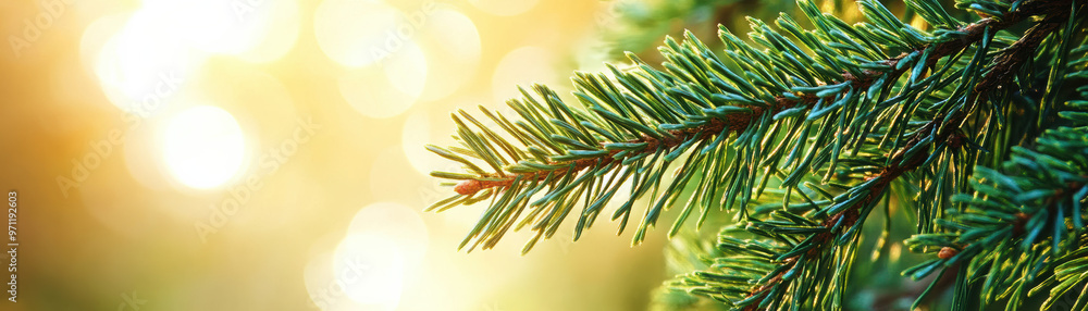 Poster close-up of a pine tree branch with sunlight filtering through, creating a natural, peaceful atmosph