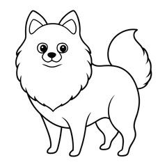 Obraz premium Pomeranian dog breed Cute cartoon vector clipart Design
