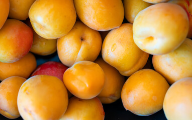 Apricots on a plate. All inclusive food concept.