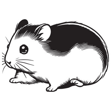 recommend clip art: Hamster Outline Design - Hamster Rodent Vector illustration in black and white 
