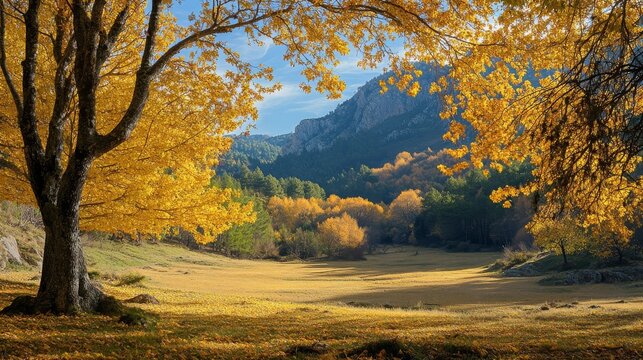 Autumnal hues of Gudar, Spain