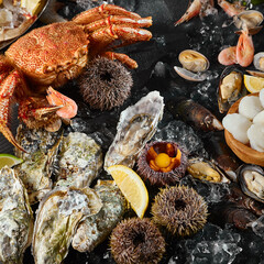 Vibrant Seafood Assortment Crab, Oysters, and Sea Urchins on Ice