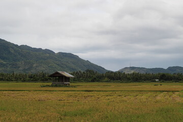 Obraz premium landscape with house