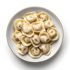 Delicious homemade dumplings on a white plate