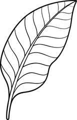 Single line art Banana leaf icon, vector illustration on black and white. 