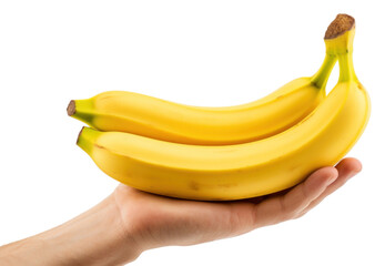 PNG Human holding banana fruit plant food.