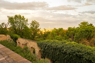 Fototapete bei efototapeten.de bestellen   