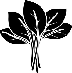 Spinach illustration vector