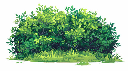 Obraz premium Cute green bush from the forest cartoon, isolated nature object for kids design. Branches and leaves of a fluffy bush isolated on a white background. Vector hand drawn illustration in paper cute style