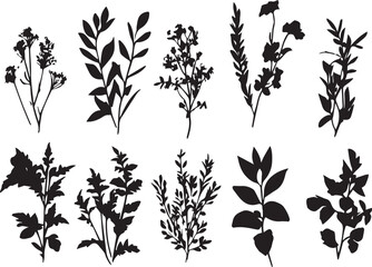 Set plants. Hand drawn vector illustration	