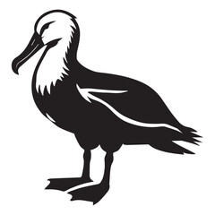 Obraz premium Albatross silhouette Clipart - Albatross vector illustration in black and white 