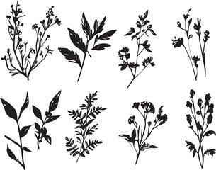 Set plants. Hand drawn vector illustration	