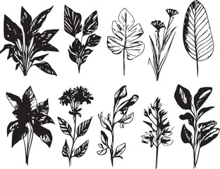 Set plants. Hand drawn vector illustration	