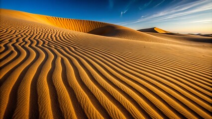 Fototapeta premium sand dunes in the desert