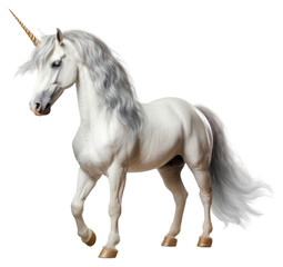 PNG Stallion animal mammal horse.