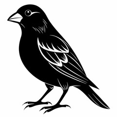 Canary Bird Black silhouette