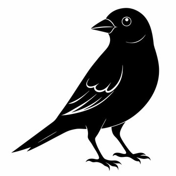 black bird silhouette on white background clip art preview