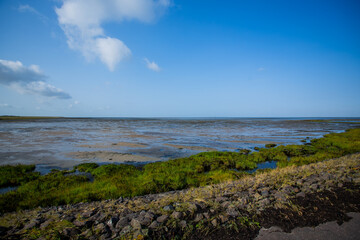 Wattenmeer