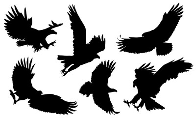 Animals eagle hawk bird fly swoop attack silhouette set collection on white background vector