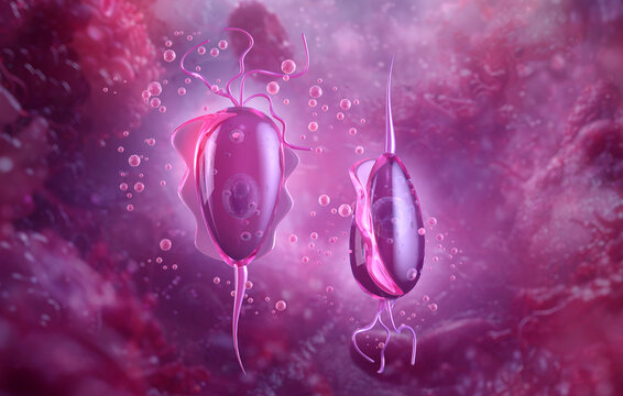 Trichomonas vaginalis under microscope. Trichomonad cell with  flagella, nucleus. Trichomonas protozoa, microscopic parasite that causes trichomoniasis, sexually transmitted infection, scientific 3D