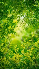 Fototapeta premium Full frame of green foliage on branches and blurred background