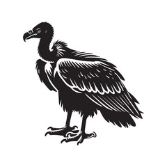 Fototapeta premium Vulture silhouette Clipart - Vulture vector illustration in black and white 