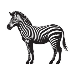 Obraz premium Zebra silhouette Clipart - Zebra vector illustration in black and white 