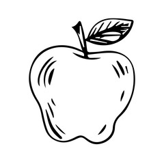 Apple in doodle style isolated on white background. Vector illustration. Can be used as an icon or symbol.