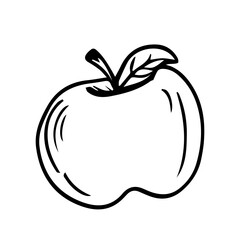 Apple in doodle style isolated on white background. Signature icon. Outline vector illustration. Can be used as an icon or symbol. Decorative element. Hand drawn in black.