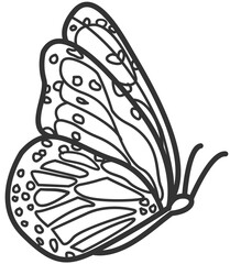 butterfly line art