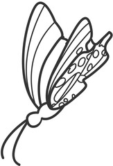 butterfly line art