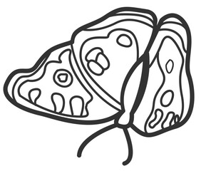 butterfly line art