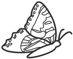 butterfly line art