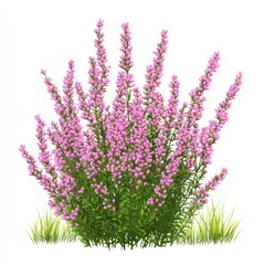 Obraz premium A vibrant illustration of a flowering plant with pink blossoms and green foliage.
