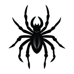 Elegant spider icons silhouette vector.