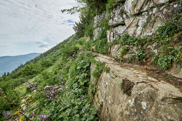 Wakacje w Górach © Thomas