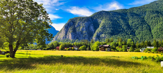 A bright summer day in Obertraun, Austria, showcasing a vibrant green field, a large tree, and...