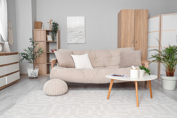 Interior of living room with sofa, table and closet