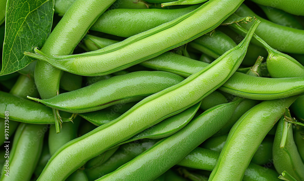 Poster Full frame shot of fresh runner beans, healthy, vibrant, green, organic, vegetables, produce, agriculture, gardening, farm, harvest 